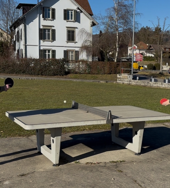 the ping pong / table tennis table